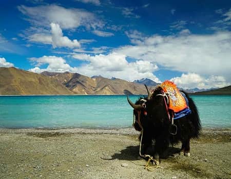 Explore Ladakh With Family Package 6 Days