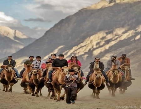 Explore New Leh Ladakh Group Tour For 7 Days