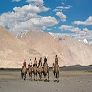 camleriding Camel Riding