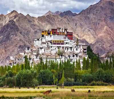 Leh Ladakh Tour Packages From Kerala Leh Ladakh Tour Packages From Kerala