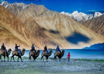  Cheapest 8 Days Leh Srinagar Sightseeing Tour
