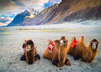 Magical Cheap Ladakh 7 Days Family Package Magical Cheap Ladakh 7 Days Family Package