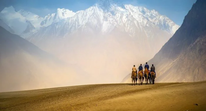 Camel Riding in Ladakh Nubra Valley Camel Riding in Ladakh Nubra Valley