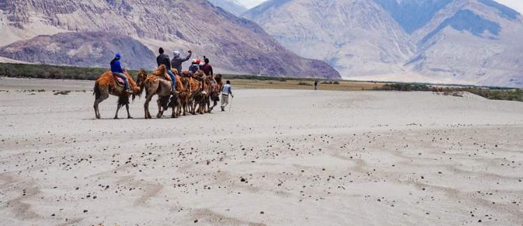 Nubra Valley Tourism